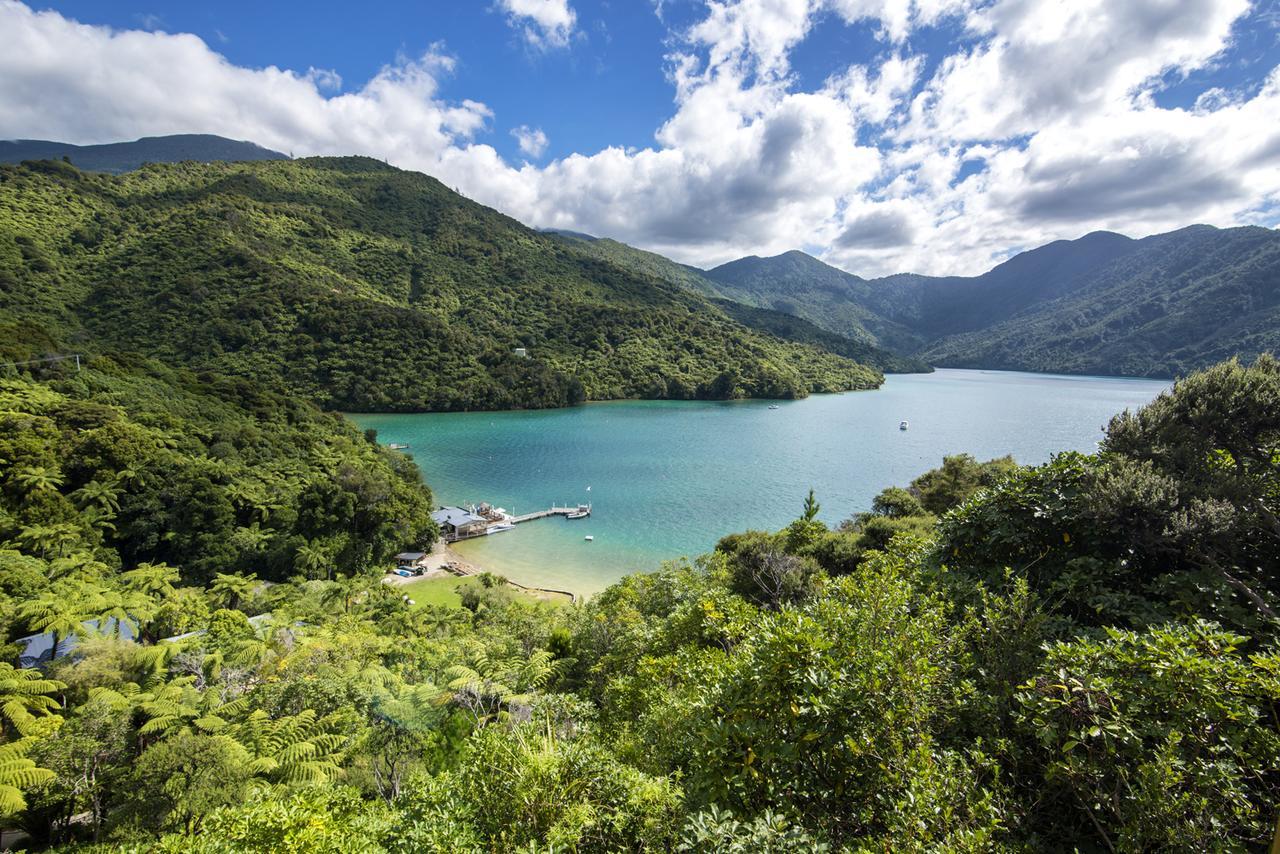 Punga Cove Resort Endeavour Inlet Exterior foto